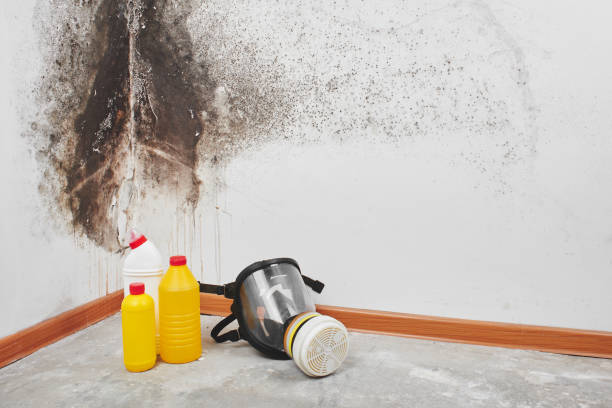 Best Residential Mold Removal  in Waxhaw, NC