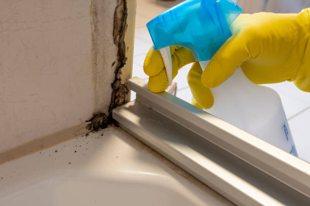 Best Toxic Mold Removal  in Waxhaw, NC