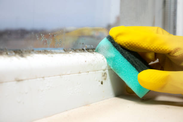 Best Emergency Mold Removal  in Waxhaw, NC