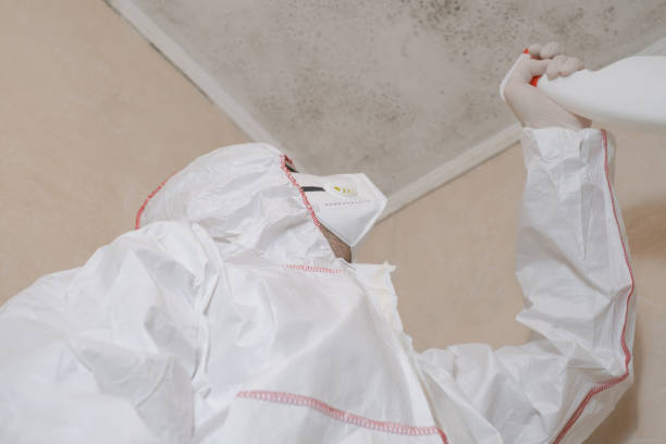 Best Toxic Mold Removal  in Waxhaw, NC